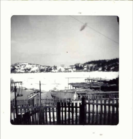 01 Ice In Bar Haven 1966. Credit: Bridget Whiffen